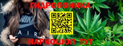 ешки Вышний Волочёк