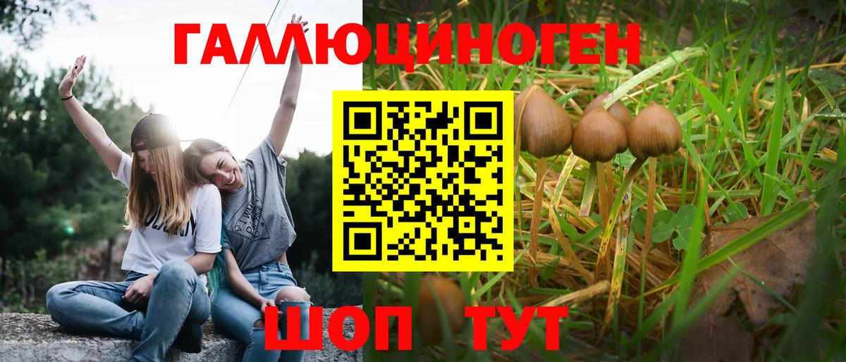 Псилоцибиновые грибы мухоморы Благодарный